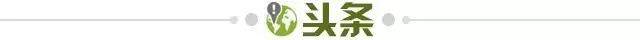 开云APP-【早报】接班女足，“邵二期”国足悉尼开练！